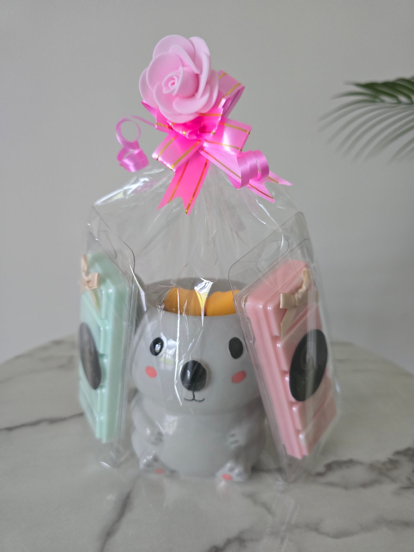 Koala Gift Set