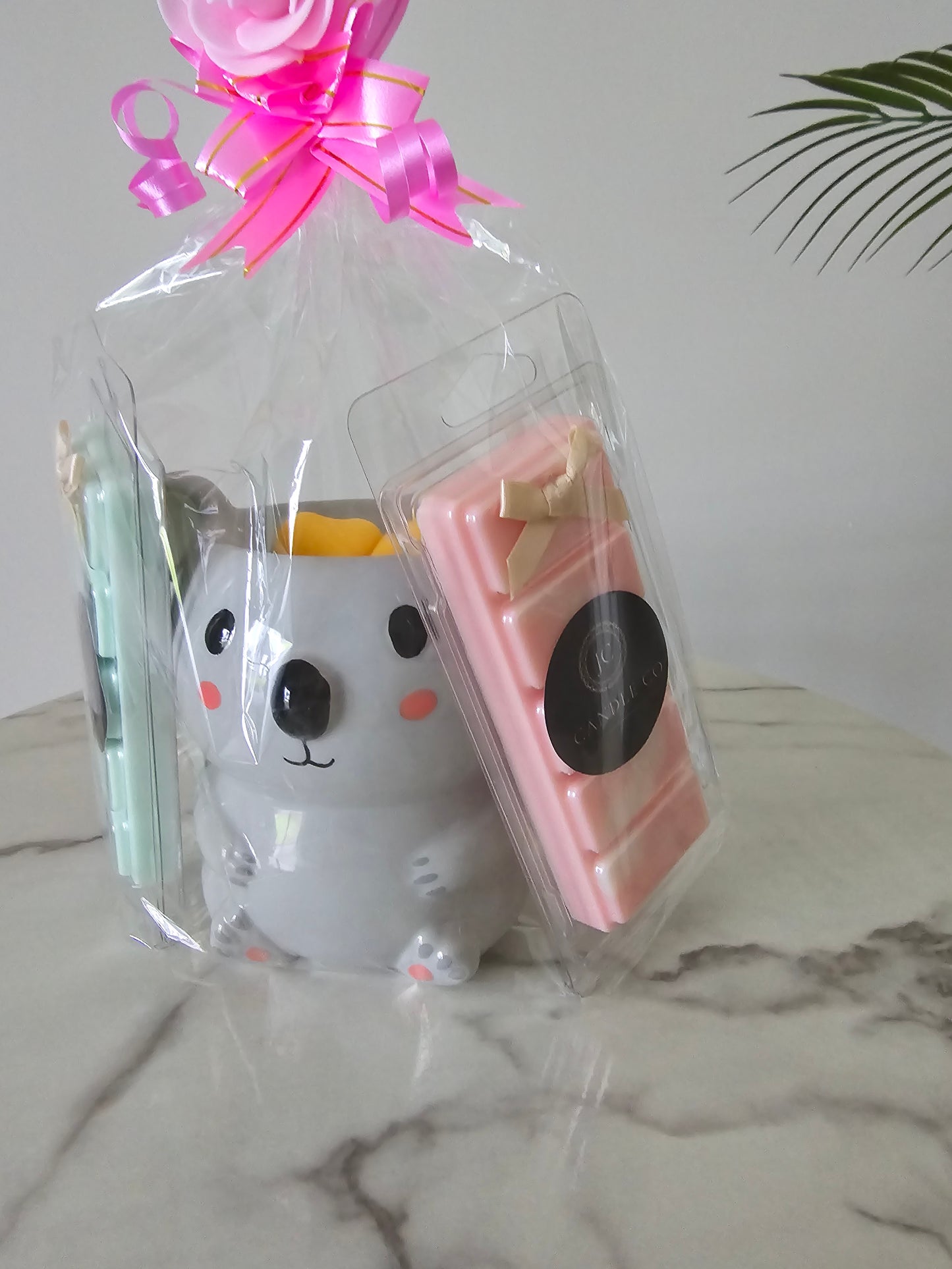 Koala Gift Set