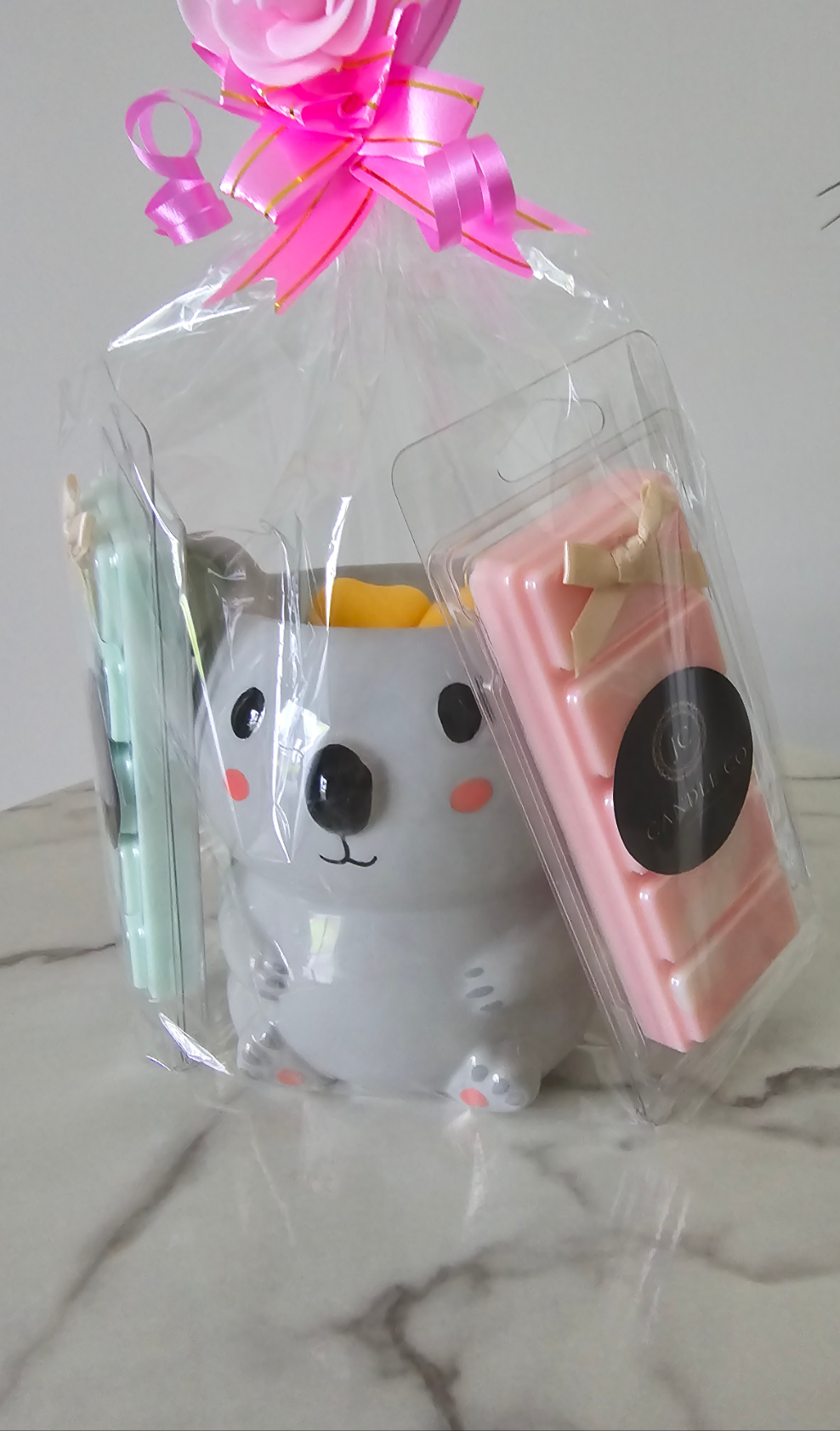 Koala Gift Set